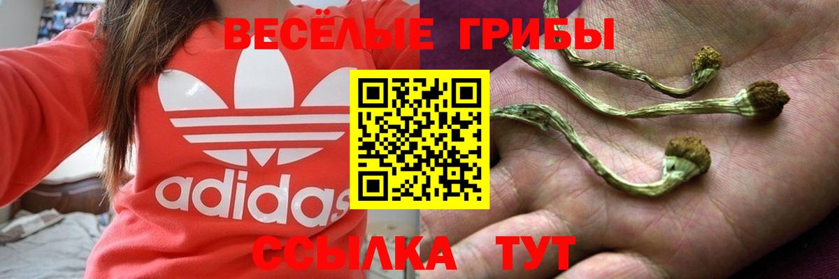 Галлюциногенные грибы Cubensis  хочу наркоту  Рубцовск  Вход с VPN 
